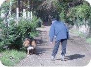 crpl001011.jpg